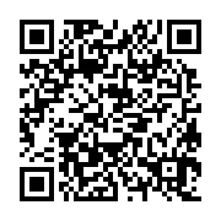 QR code for N1W 384