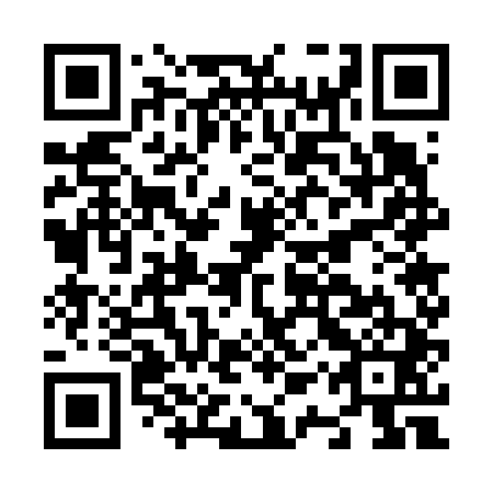 QR code for N1W 641