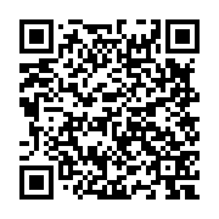 QR code for N1W 873