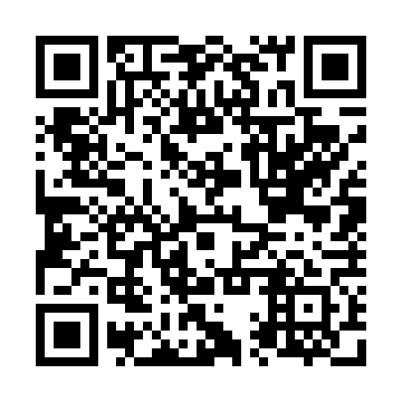 QR code for plate N1W 461
