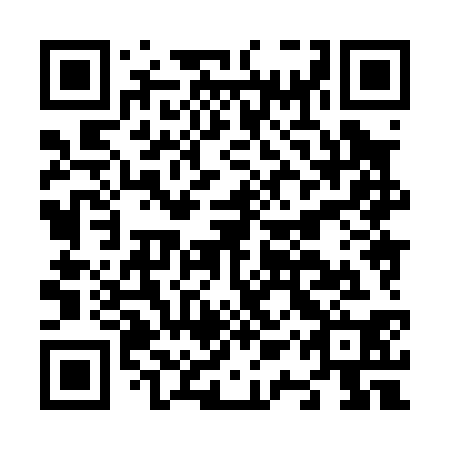 QR code for N1X 030