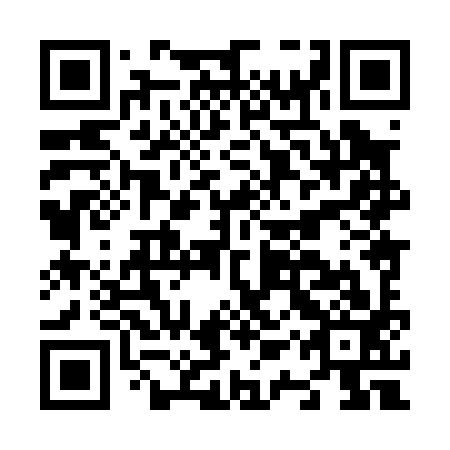 QR code for N1X 093