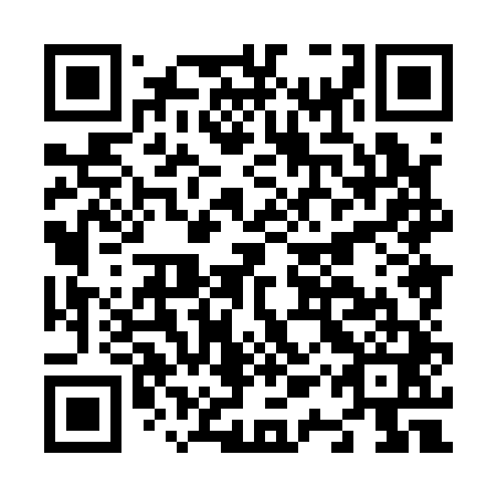 QR code for N1X 141