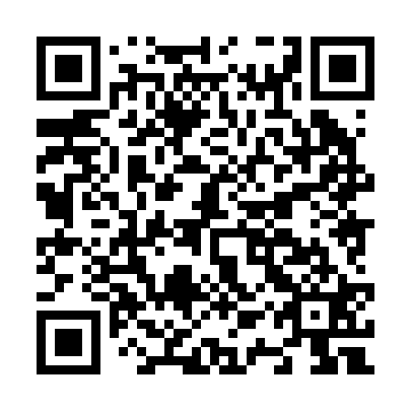 QR code for N1X 221