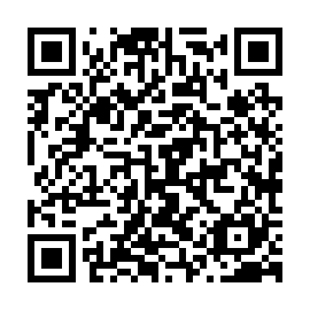 QR code for N1X 225