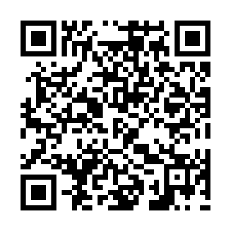 QR code for N1X 243