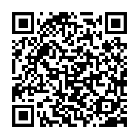 QR code for N1X 269