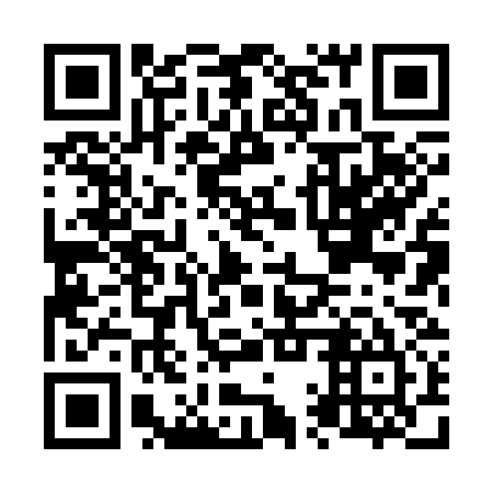 QR code for N1X 335