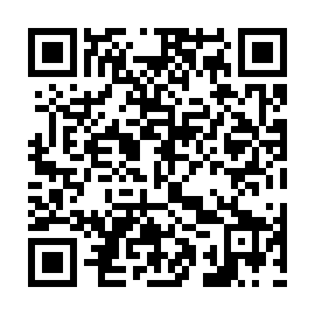 QR code for N1X 369