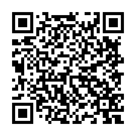 QR code for N1X 877