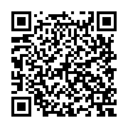 QR code for N1X 913