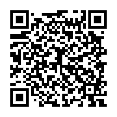 QR code for plate N1X 081