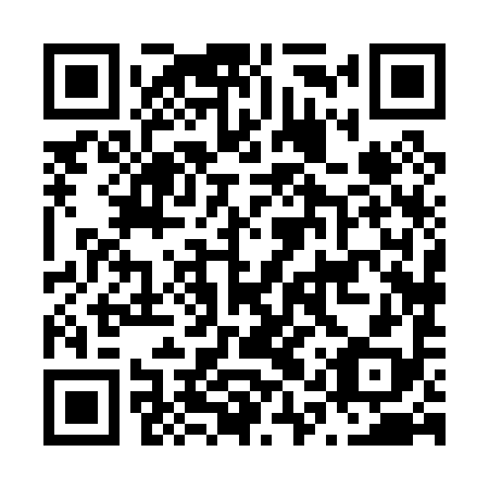 QR code for plate N1X 098