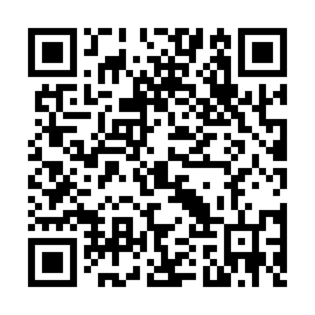 QR code for plate N1X 156