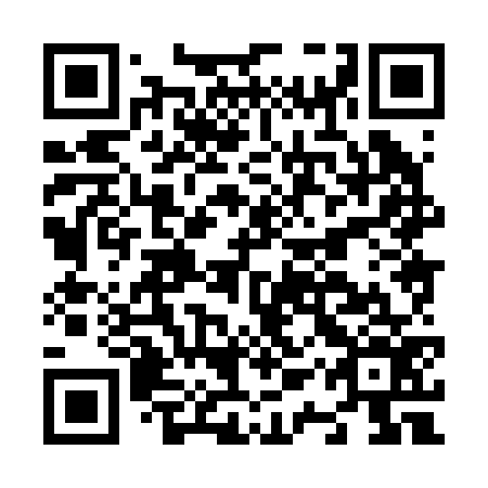 QR code for plate N1X 276