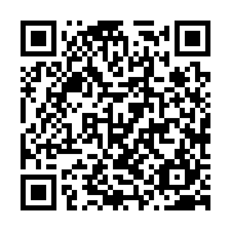 QR code for plate N1X 324