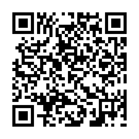 QR code for plate N1X 346