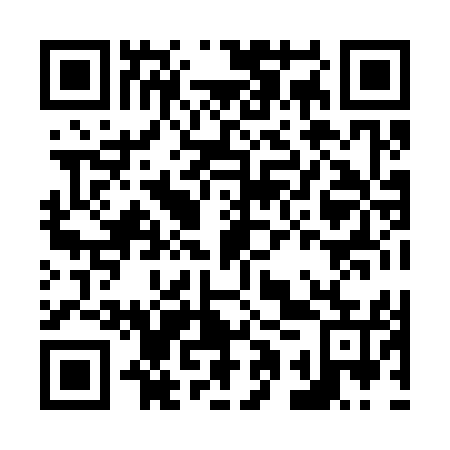 QR code for N1X355