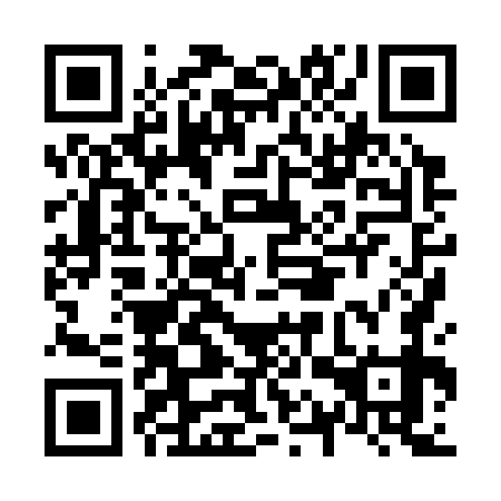 QR code for N1X379