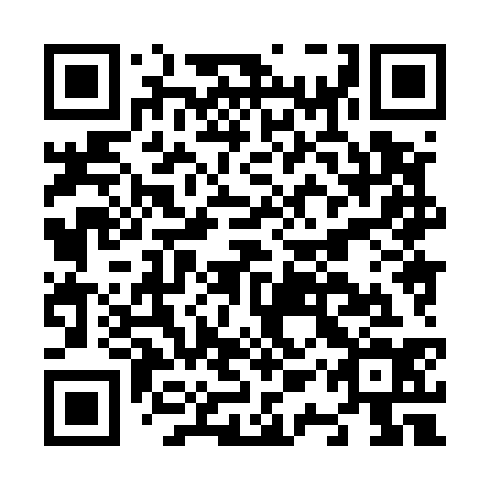 QR code for plate N1X 534