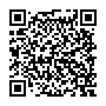 QR code for plate N1X 596