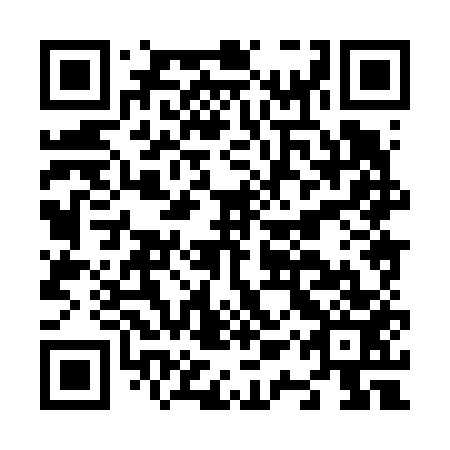 QR code for N1X653