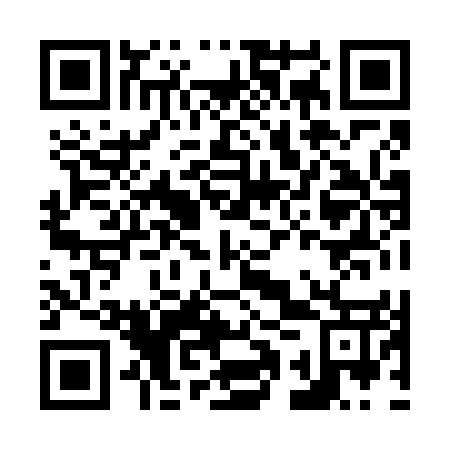 QR code for plate N1X 657