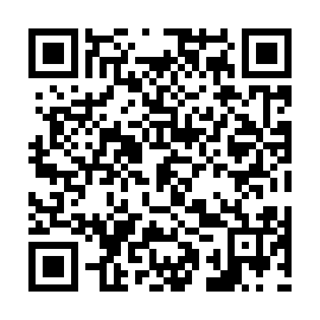 QR code for plate N1X 916