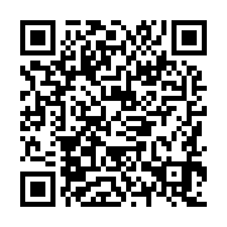 QR code for N1X991