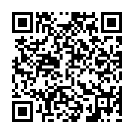 QR code for N1Y 438