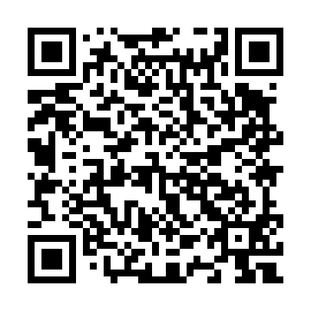 QR code for N1Y 491