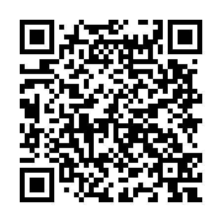 QR code for N1Y 533
