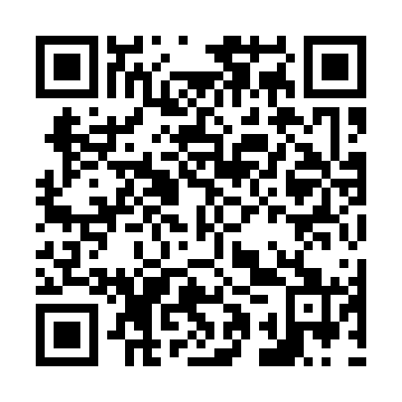 QR code for plate N1Y 161