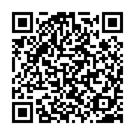 QR code for N1Y198