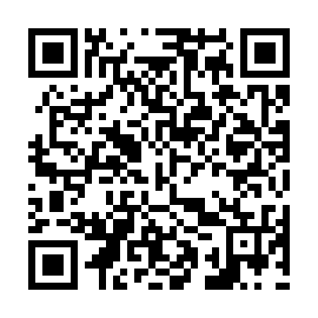 QR code for plate N1Y 335