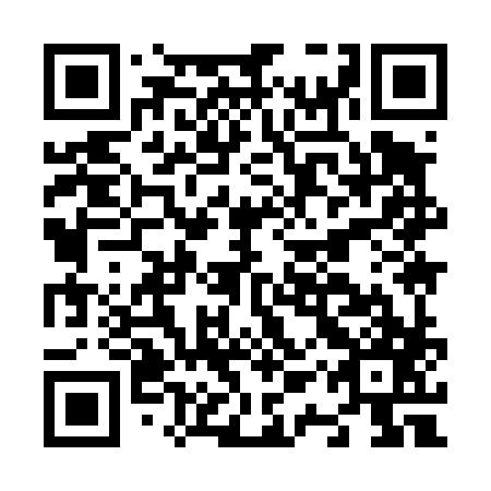 QR code for N1Y487