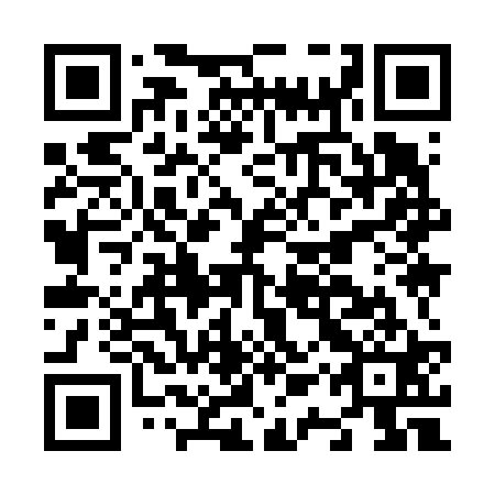 QR code for N1Y621