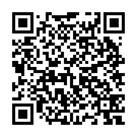 QR code for N1Z 239