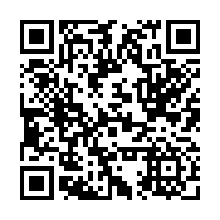 QR code for N1Z 377