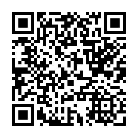 QR code for N1Z 379