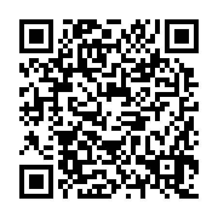 QR code for N1Z 386
