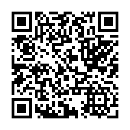 QR code for N1Z 647