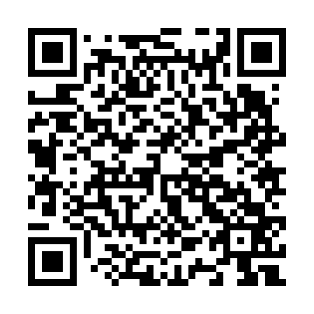 QR code for N1Z 663