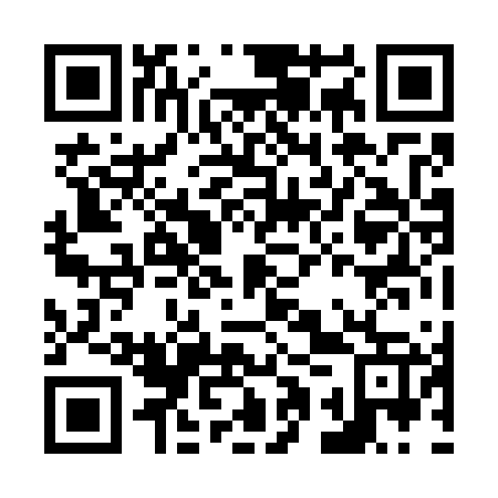 QR code for N1Z 767