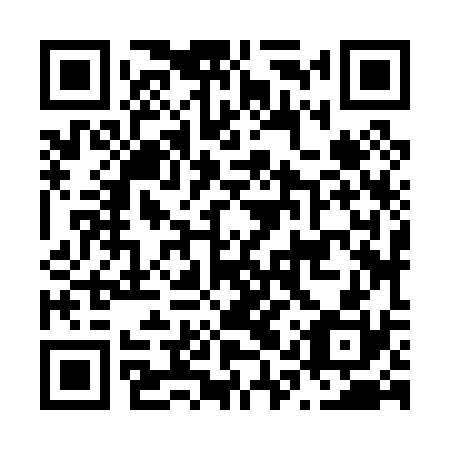 QR code for N1Z030