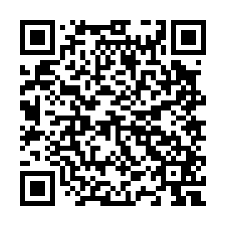 QR code for N1Z041