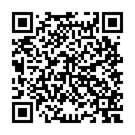 QR code for N1Z101
