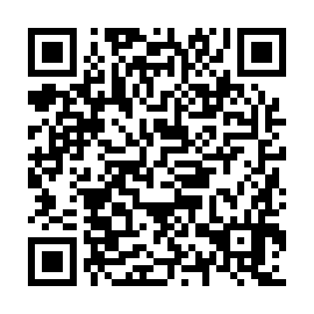 QR code for N1Z194
