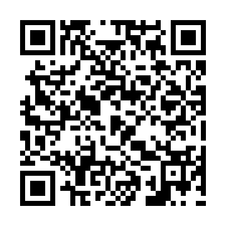 QR code for N1Z233
