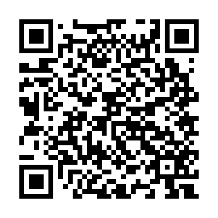 QR code for plate N1Z 356